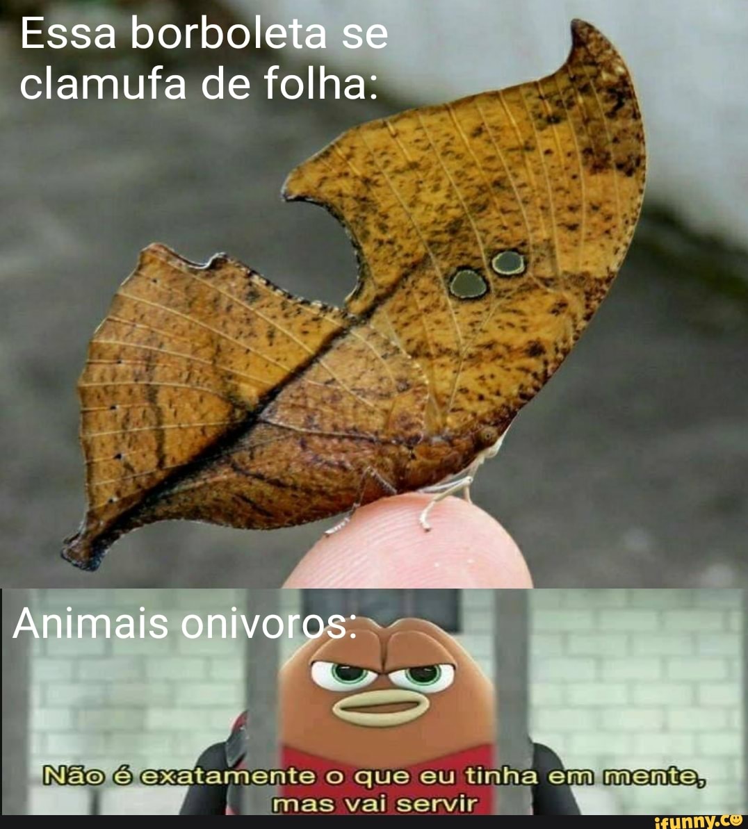 Essa borbol
clamufa de folha:
I
mas vai servir
4