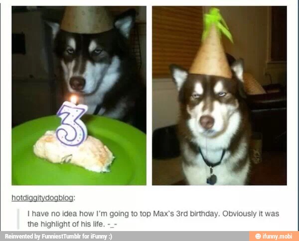 I nave no idea how I'm going
to
top Max's 3rd birthday. O!
the highlight of his lif
