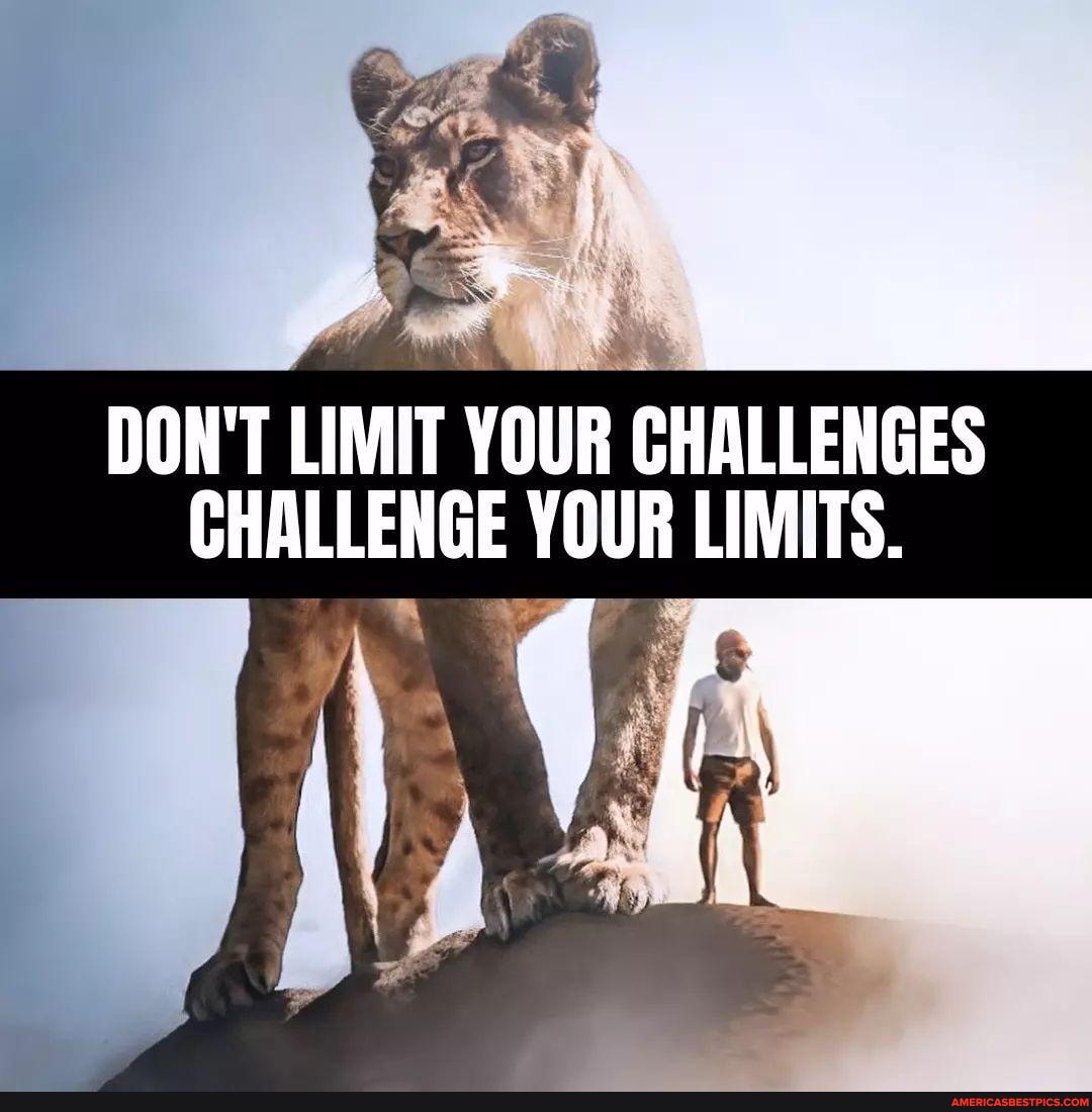 Today is your canvas, your opportunity to paint a masterpiece of ...