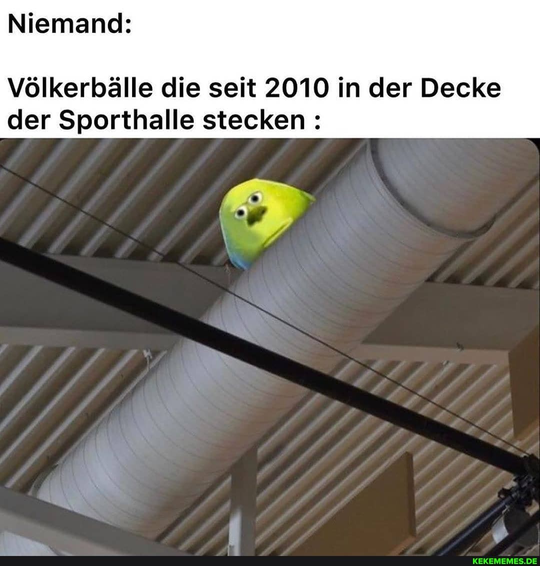 Niemand:
Völkerbälle die seit 2010 in der Decke der Sporthalle stecken: