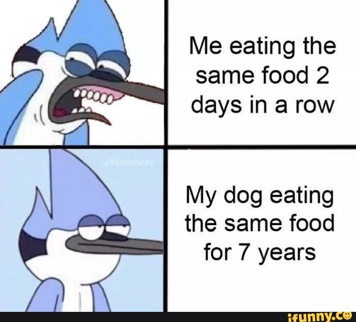 Me eating the same food 2 days in a row My dog eating the same food for