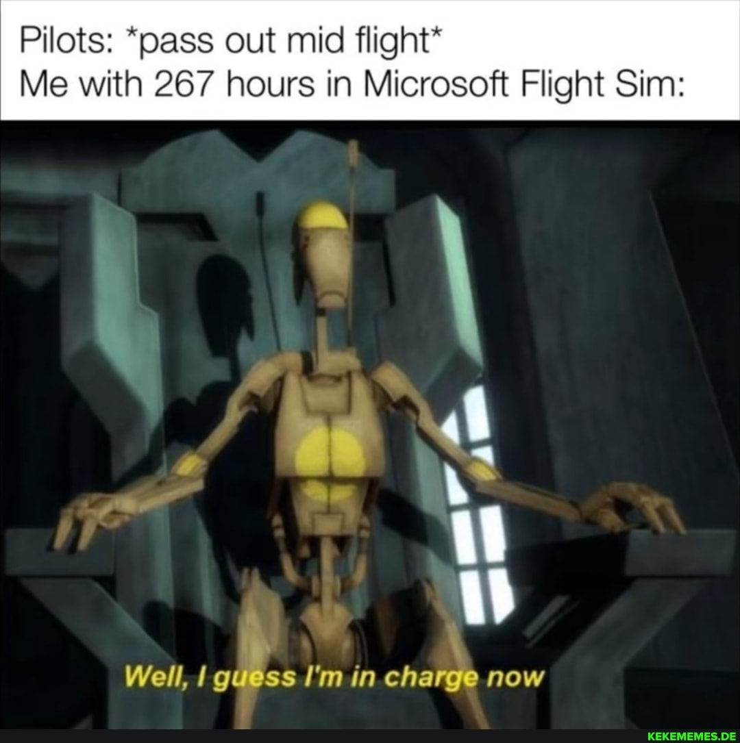 Pilots: *pass out mid flight*
Me with 267 hours in Microsoft Flight Sim:
/ ms
" il
Well, iolfles I'm in charge now
