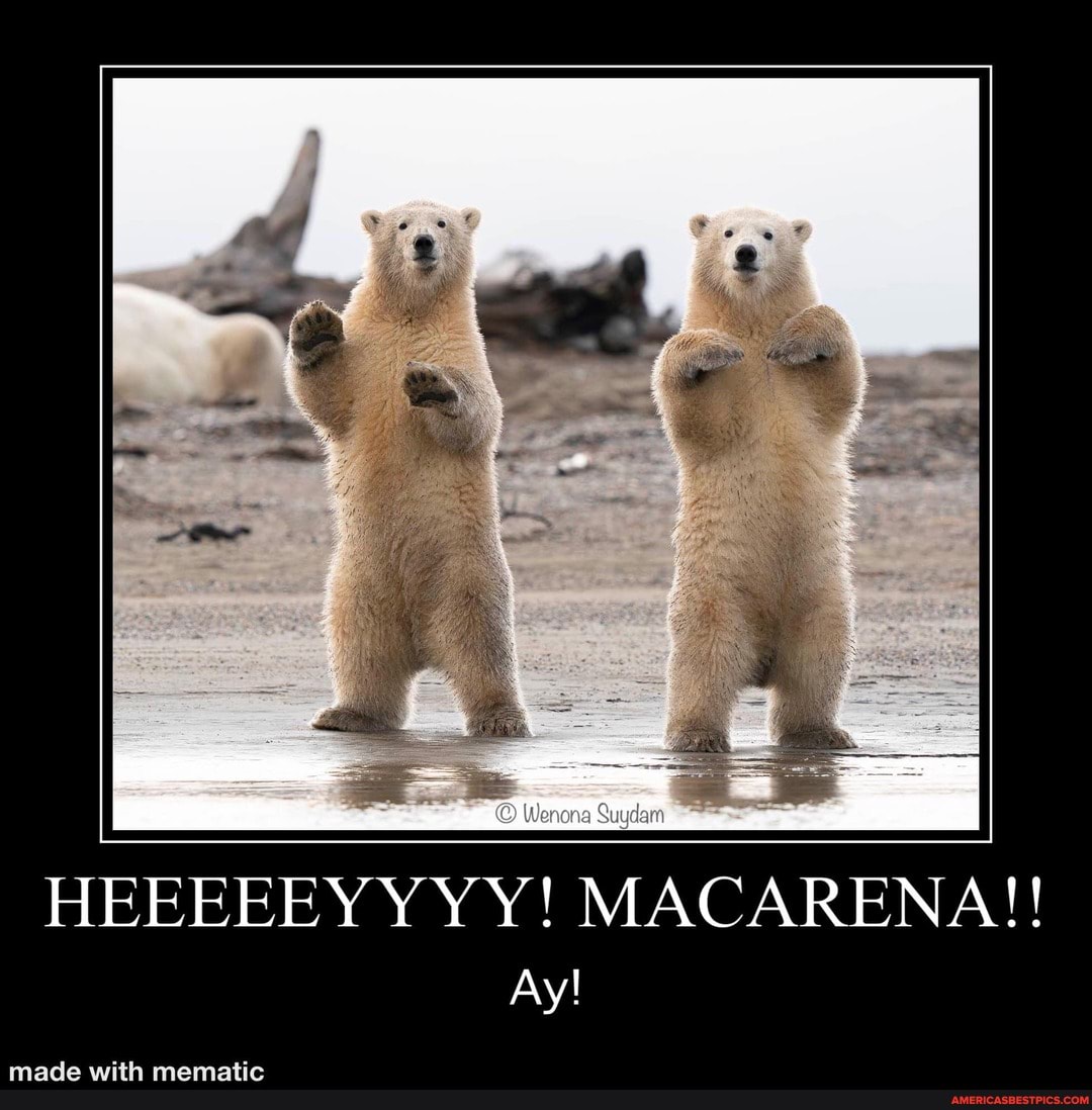 NA!!
MACAR
pave