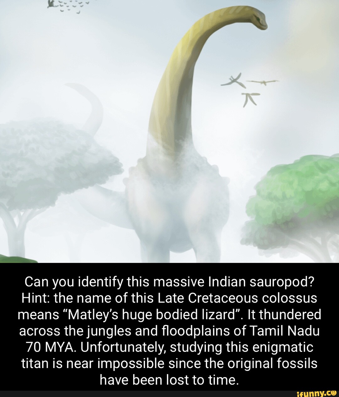 Can you identify this massive Indian sauropod? Hint the name of this