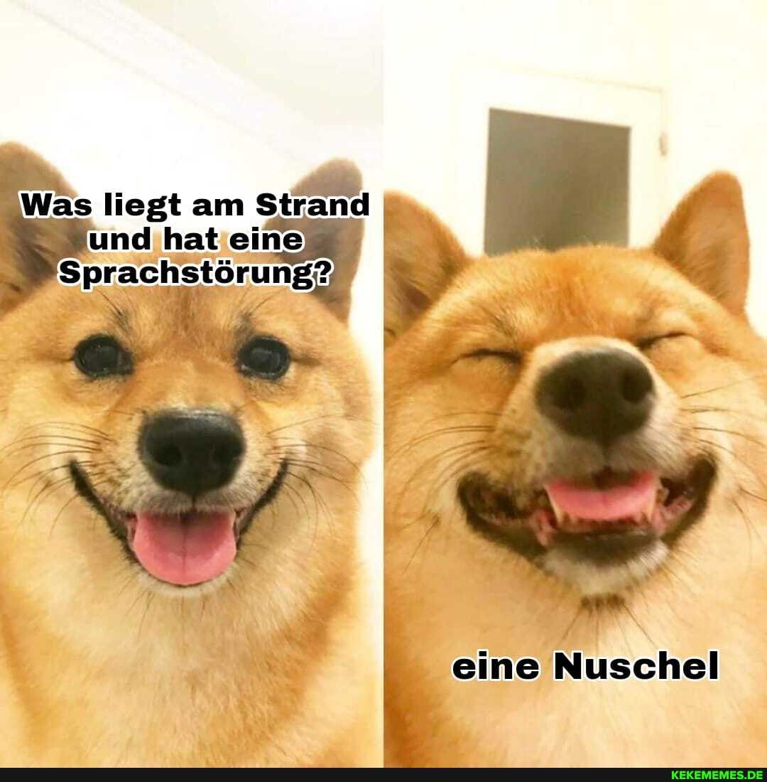 Was liegt am und hat eine
Sprachstörung?
eine Nuschel