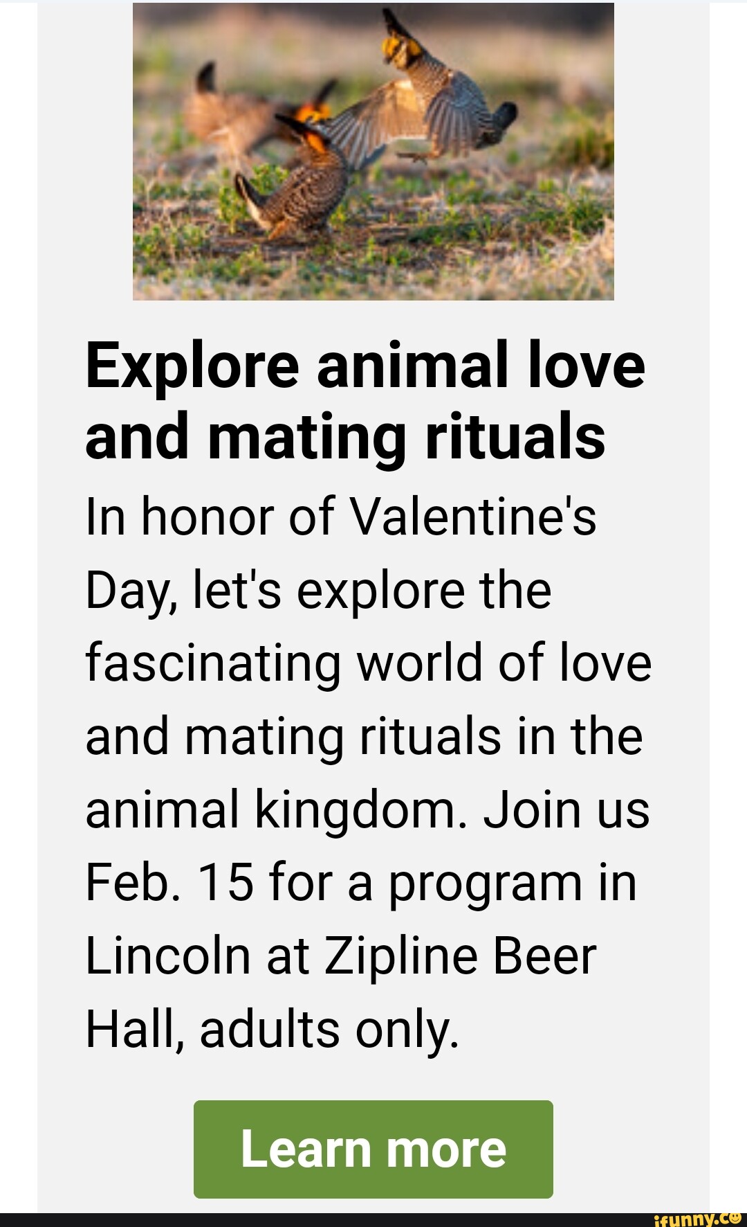 mating rituals valentines day