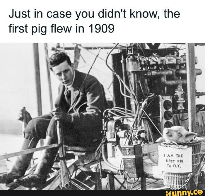Just in case you didn't know, the first pig flew in 1909 iFunny