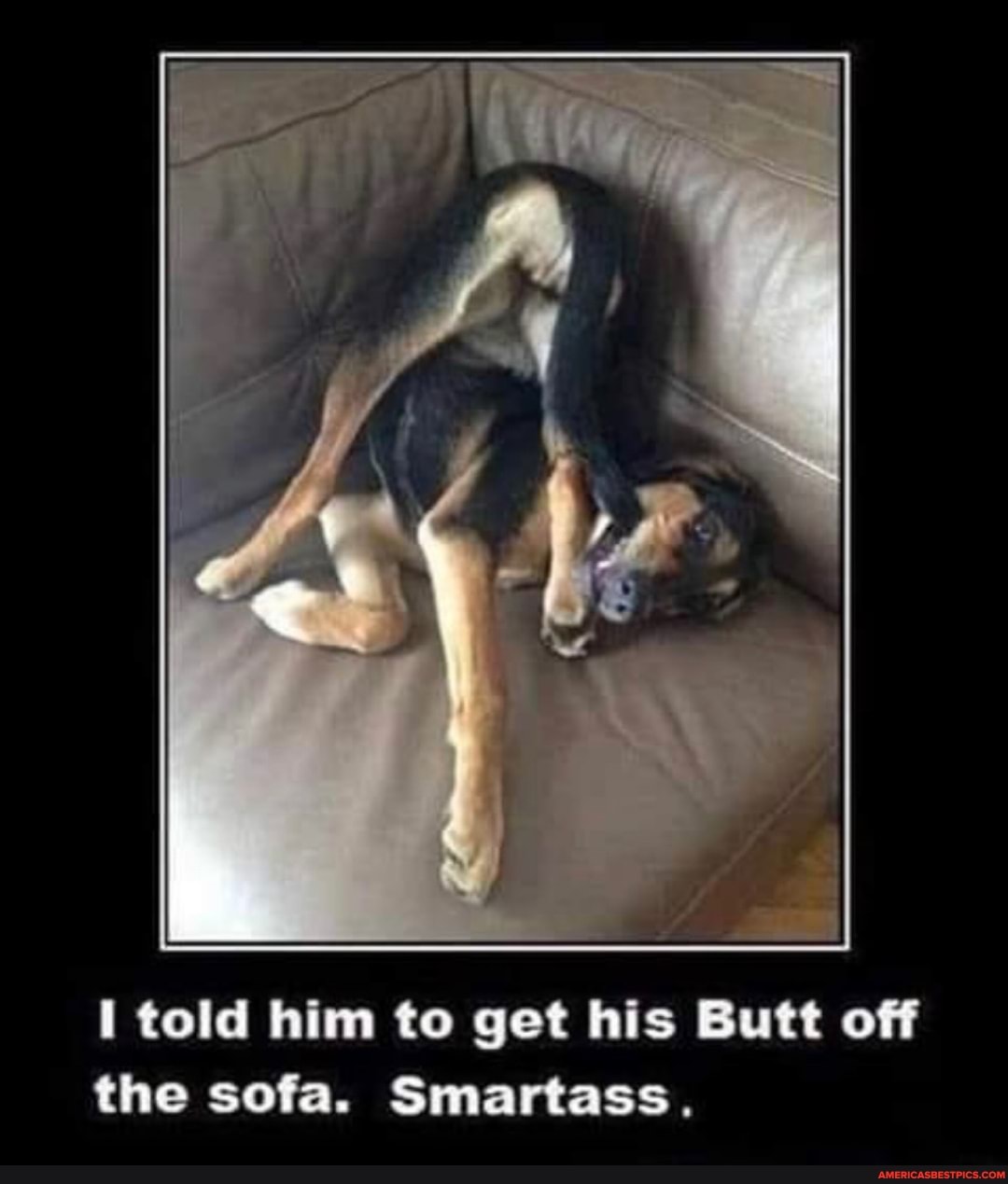 I told him to get his Butt off
the sofa. Smartass.