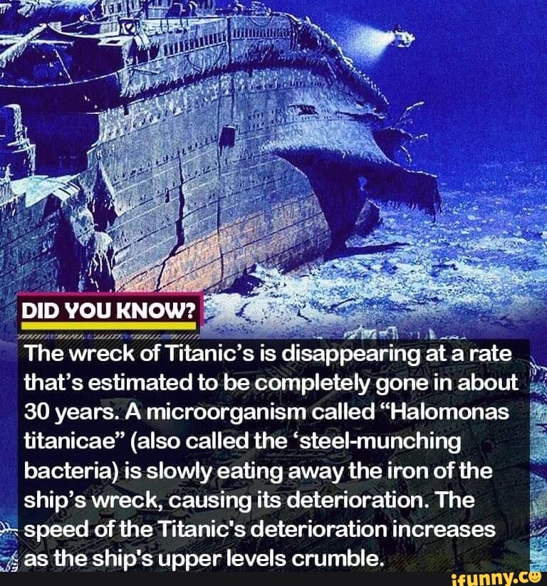 DID YOU KNOW? The wreck of Titanic's is disappearing at a rate that's ...