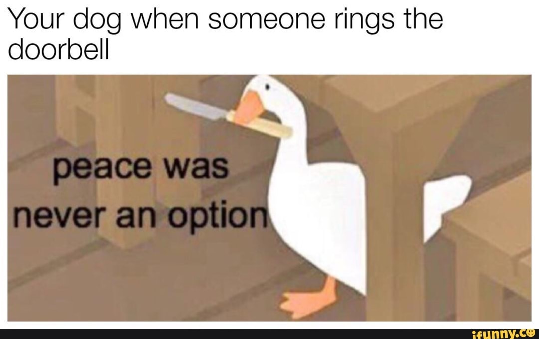 Your dog when someone rings the doorbell iFunny