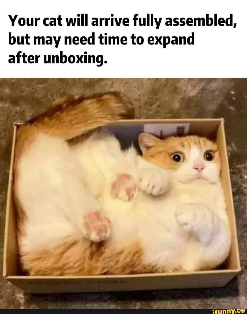 Your cat will arrive fully assembled, but may need time to expand after