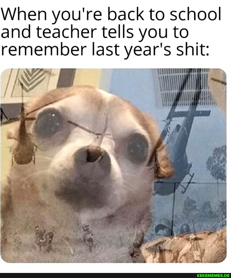 When you're back to school and teacher tells you to remember last year's shit: