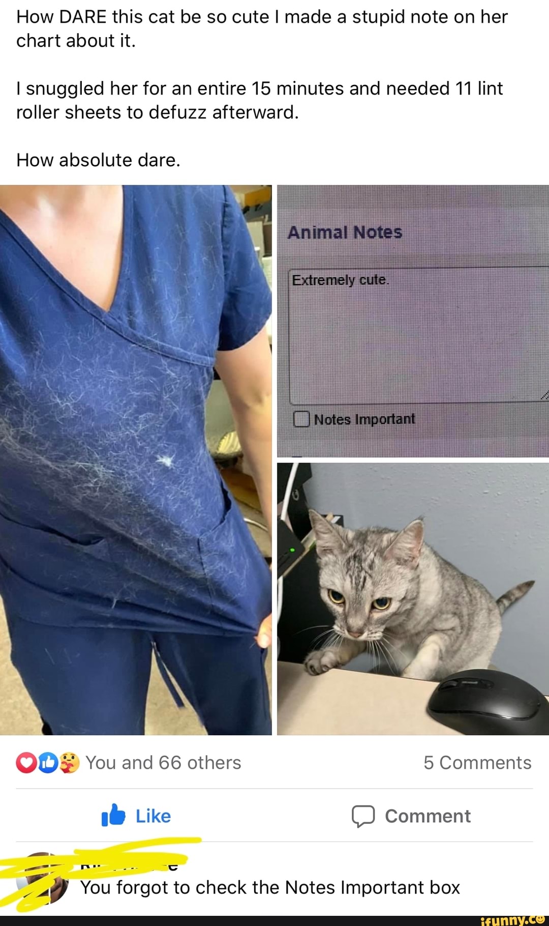 How DARE this cat be so cute I made a stupid note on her
chart about it.
I snuggled her for an entire 15 minutes and needed 11 lint
roller sheets to defuzz afterward.
How absolute dare.
ST You
forgot to check the Notes Important box