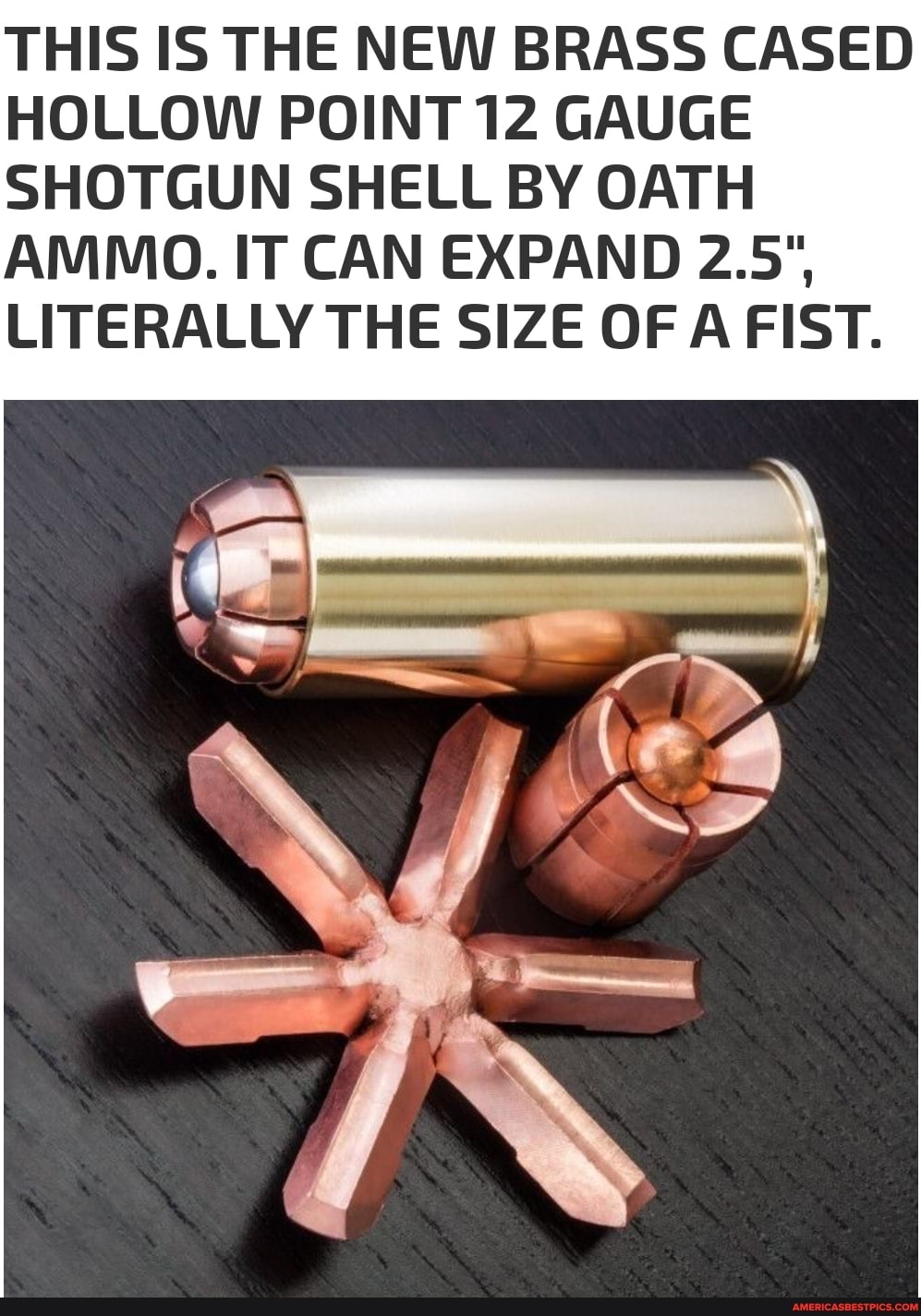 12 Inch Shell Inside THIS IS THE NEW BRASS CASED HOLLOW POINT 12 GAUGE SHOTGUN SHELL BY OATH ...