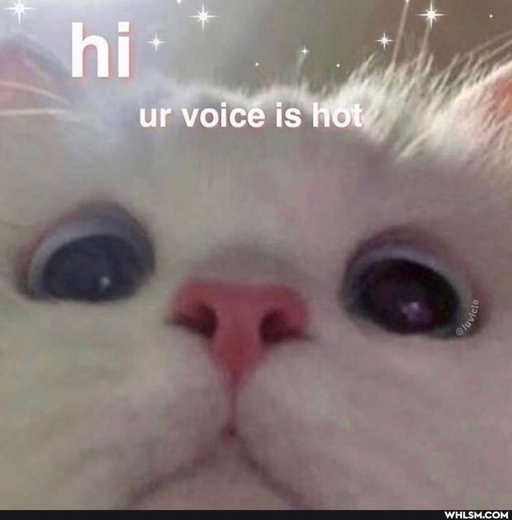 ur voice is hot
vie