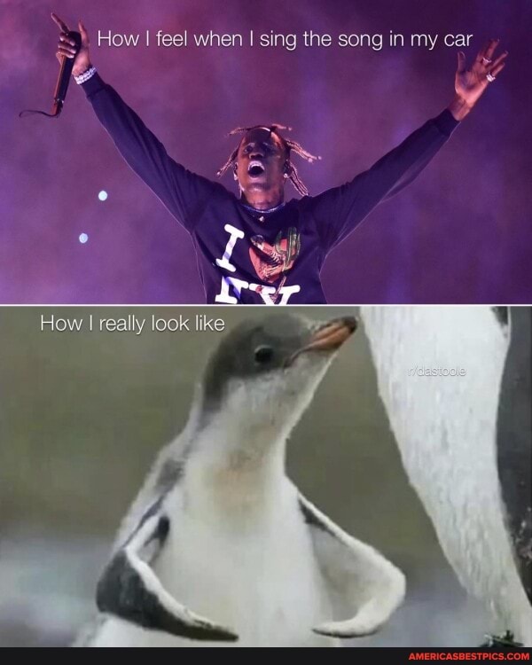How I feel when I sing the song in my car
How I really look like