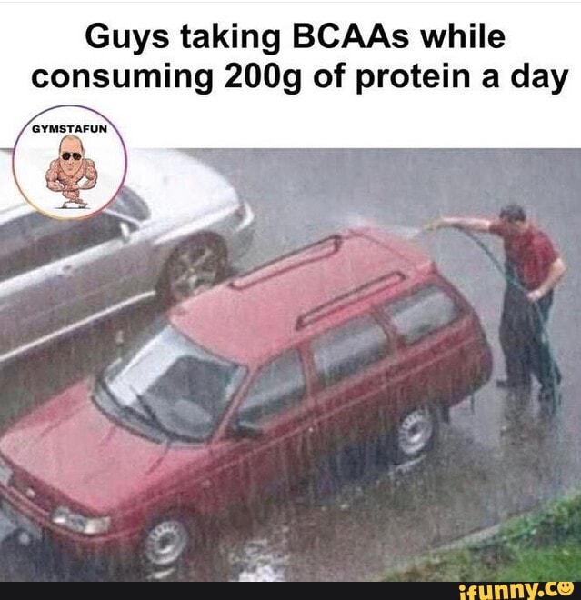 Guys taking BCAAs while consuming 200g of protein a day iFunny
