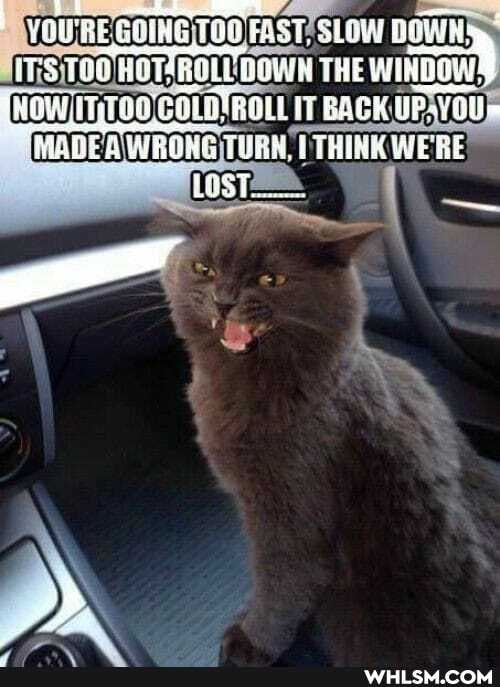 TON FAST, DOWN'
THE IT BACK MAGE A WROAS TURE, THINK WERE