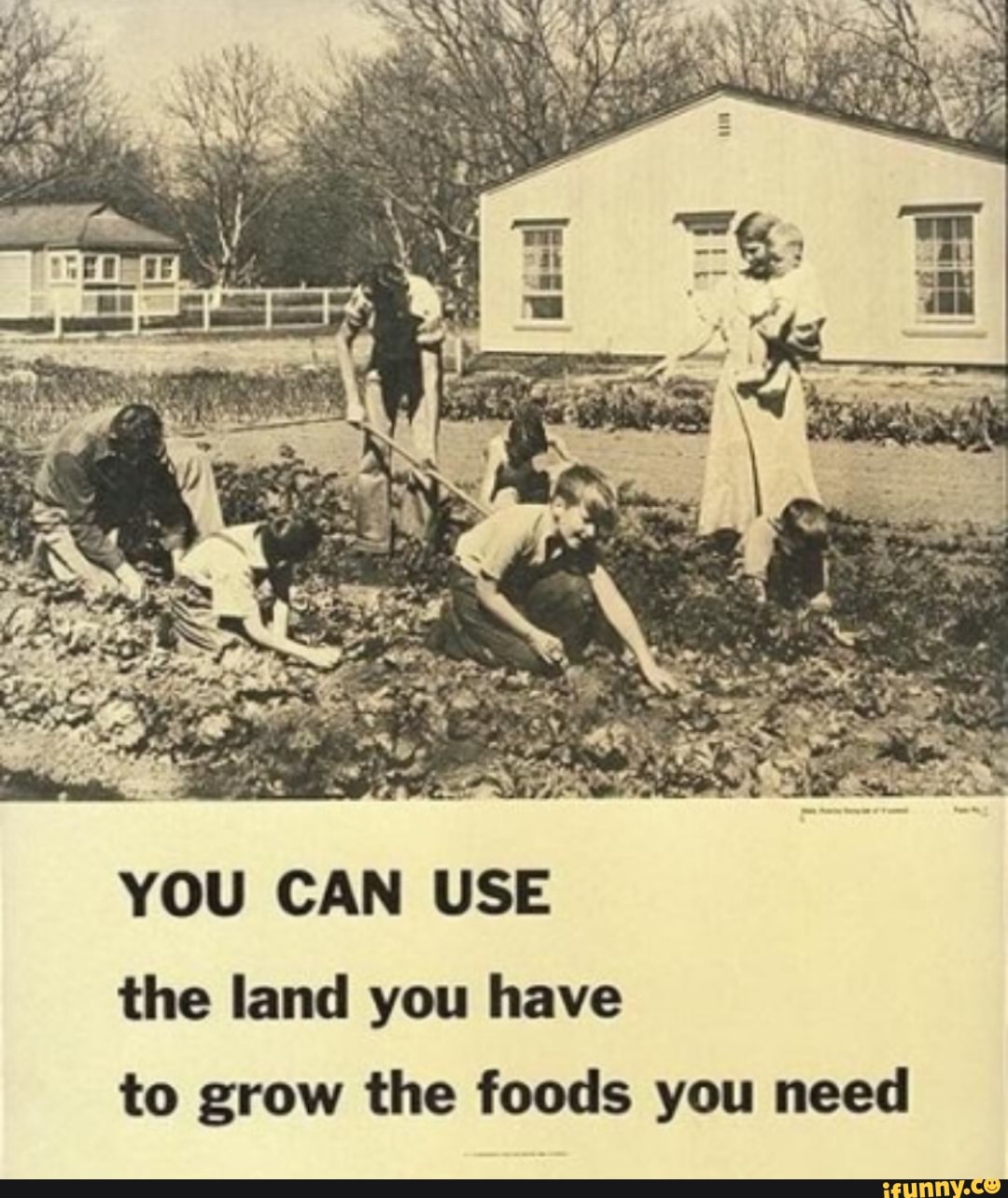 YOU CAN USE
the land you have
to grow the foods you need