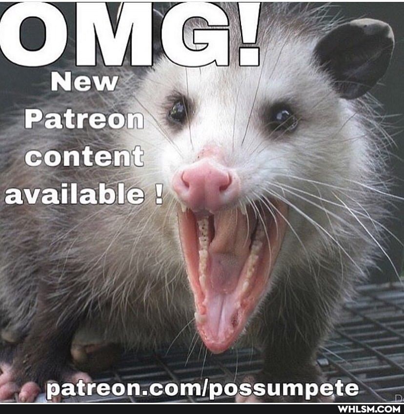New
Patreon content available !
ff
ppatreon