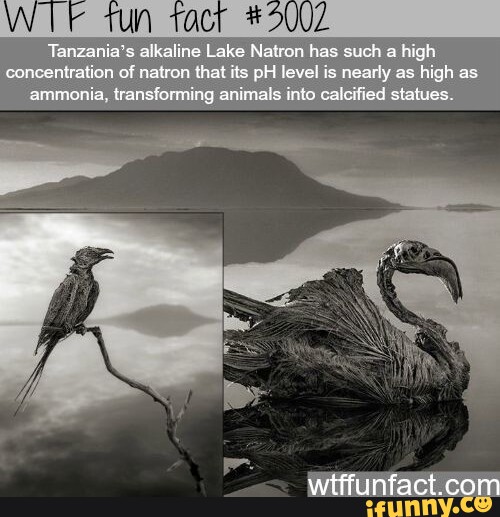 These are и those are разница. It s not funny !комикс. Comfort character. Wow this is literally me. Memes it's my and i get a choose the.