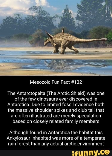 Mesozoic Fun Fact #132 The Antarctopelta (The Arctic Shield) was one of ...