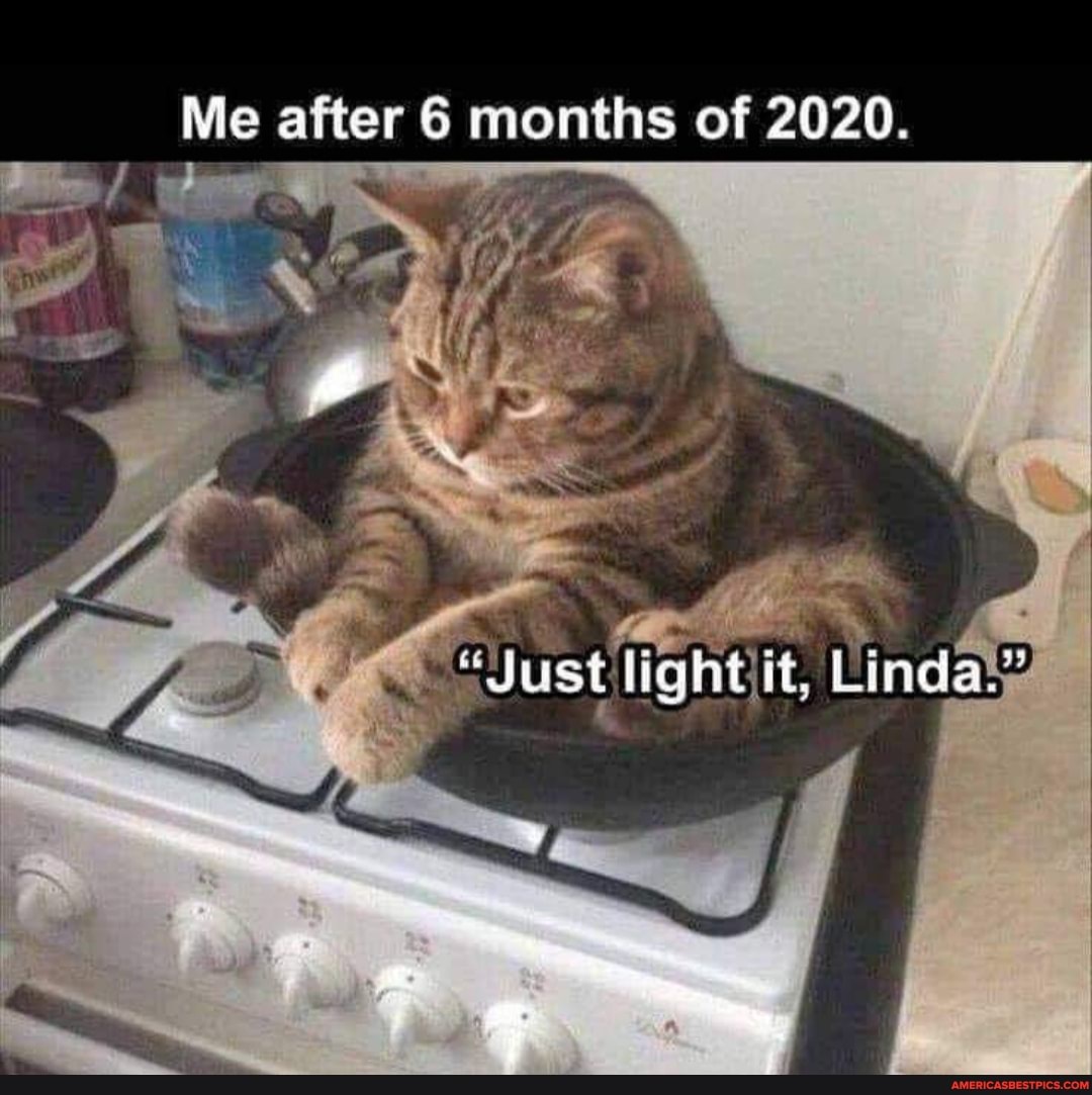 Me after 6 months of 2020.
"Just laht it, Linda."