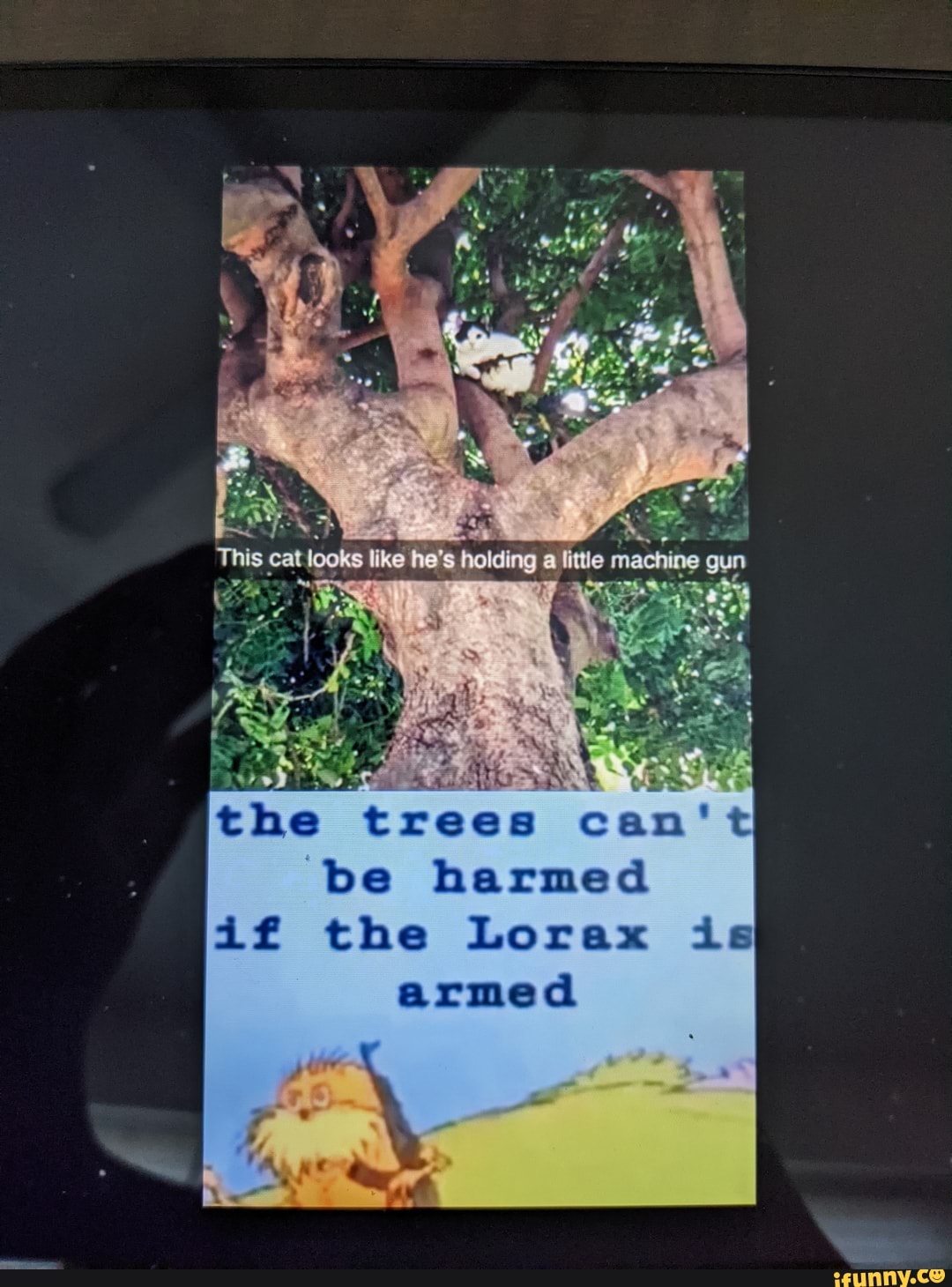 the trees can
be harmed if the Lorax armed