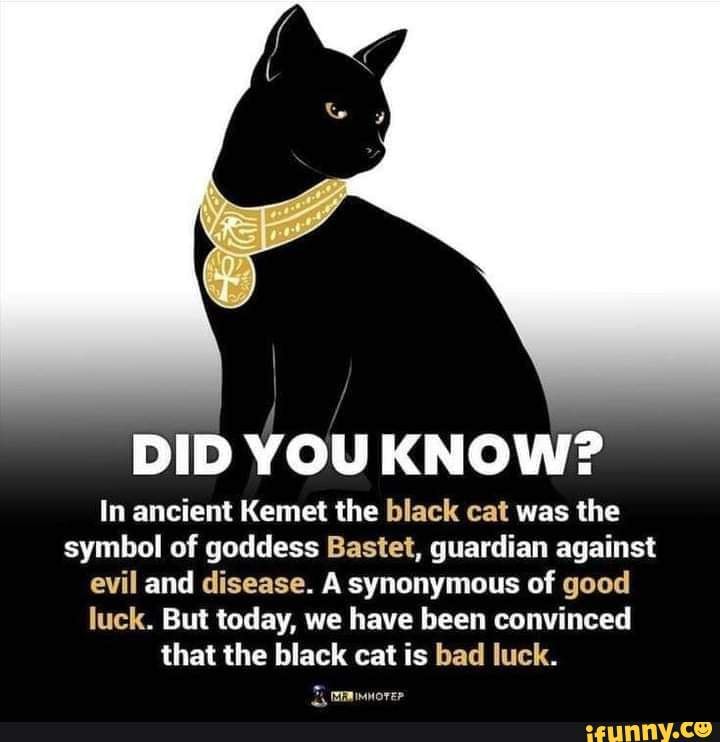 DID YOU KNOW? In ancient Kemet the black cat was the symbol of goddess