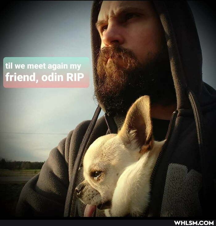 til we meet again my
friend, odin RIP