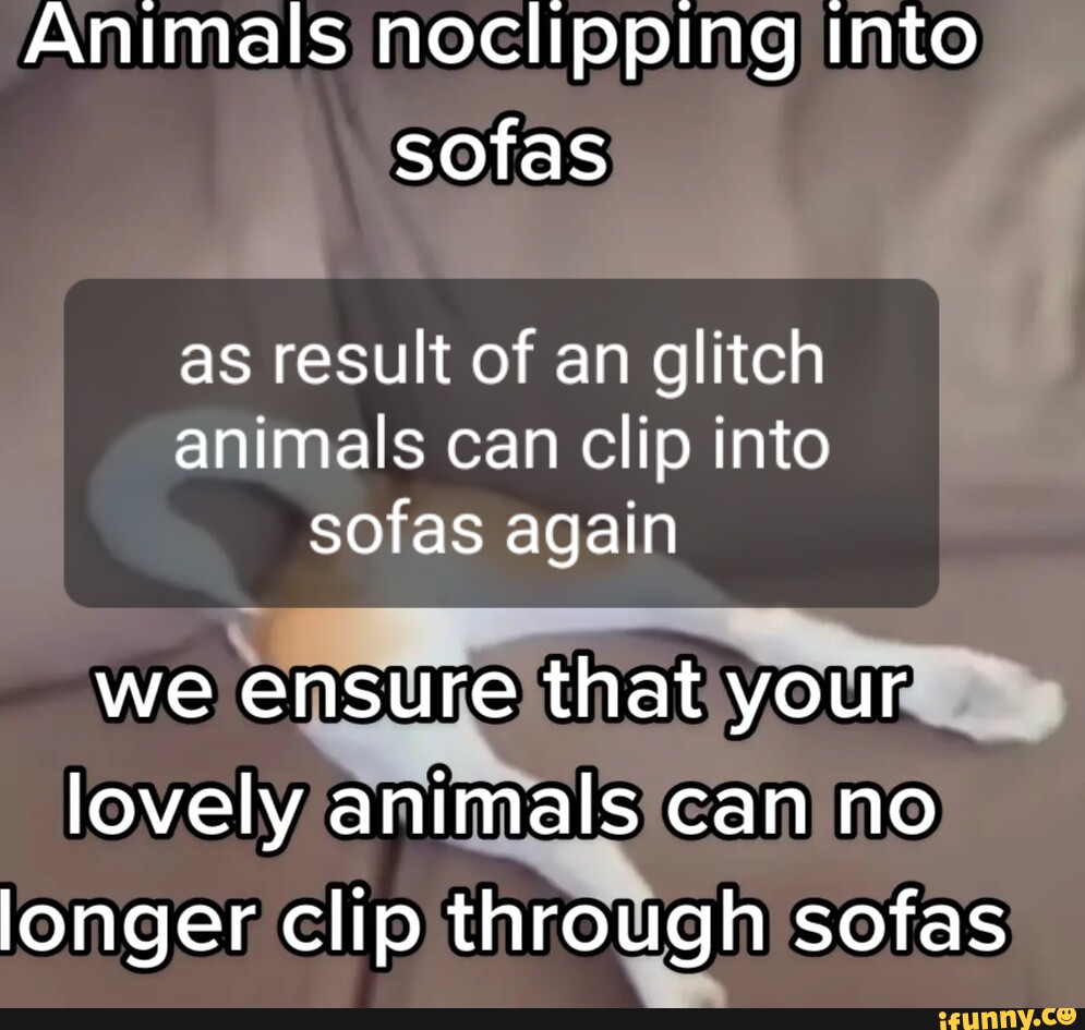 Sofas memes. Best Collection of funny Sofas pictures on iFunny