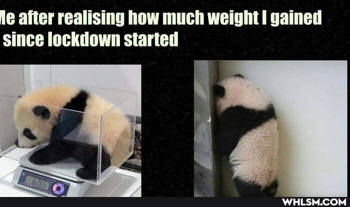 le after realising how much weight gained since lockdown started