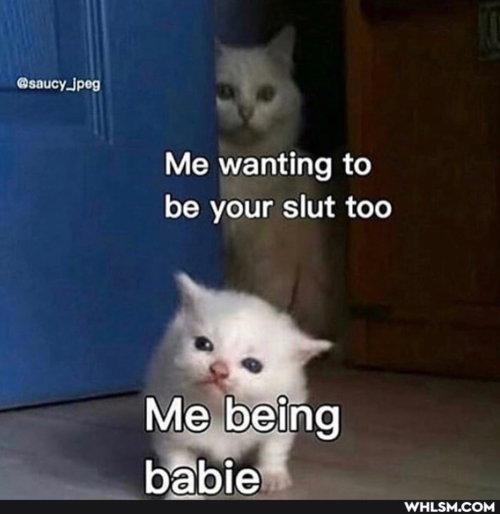 @saucy_jpeg
Me wanting to be your slut too
Me being hahia