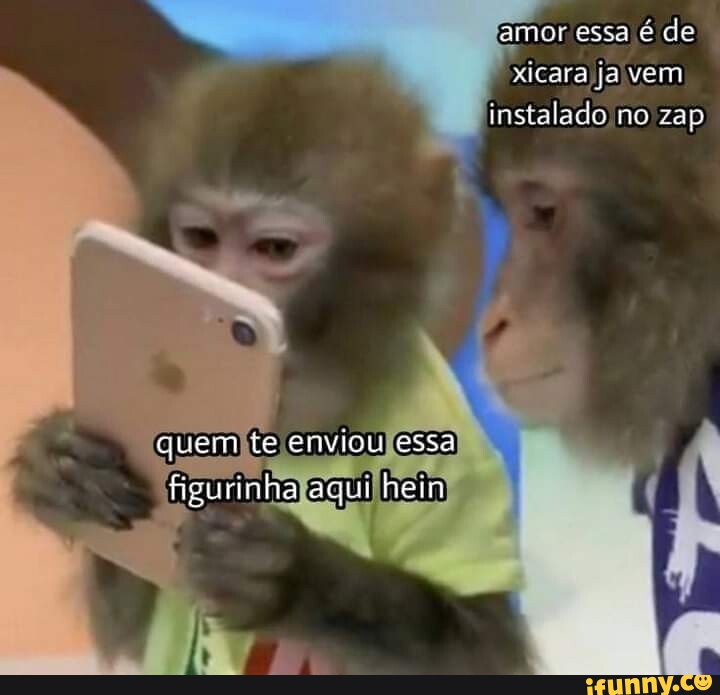 Srinha memes. Best Collection of funny Srinha pictures on iFunny Brazil