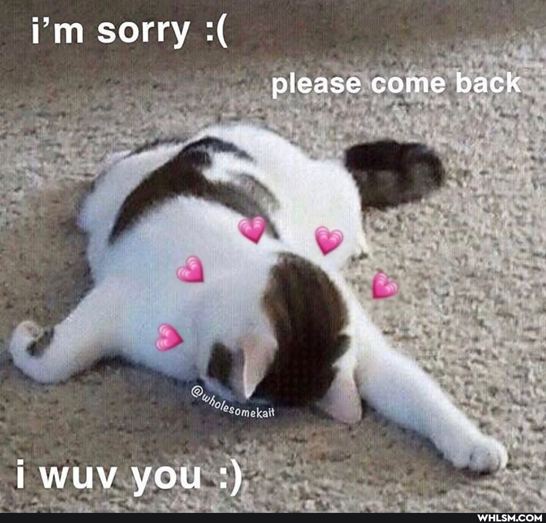 i'm sorry
please come back
wuv you