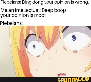 Plebeians Ding Dong Your Opinion Is Wrong Me An Intellectual Beep Boop Your Opinion Is Moot Plebeians Ifunny