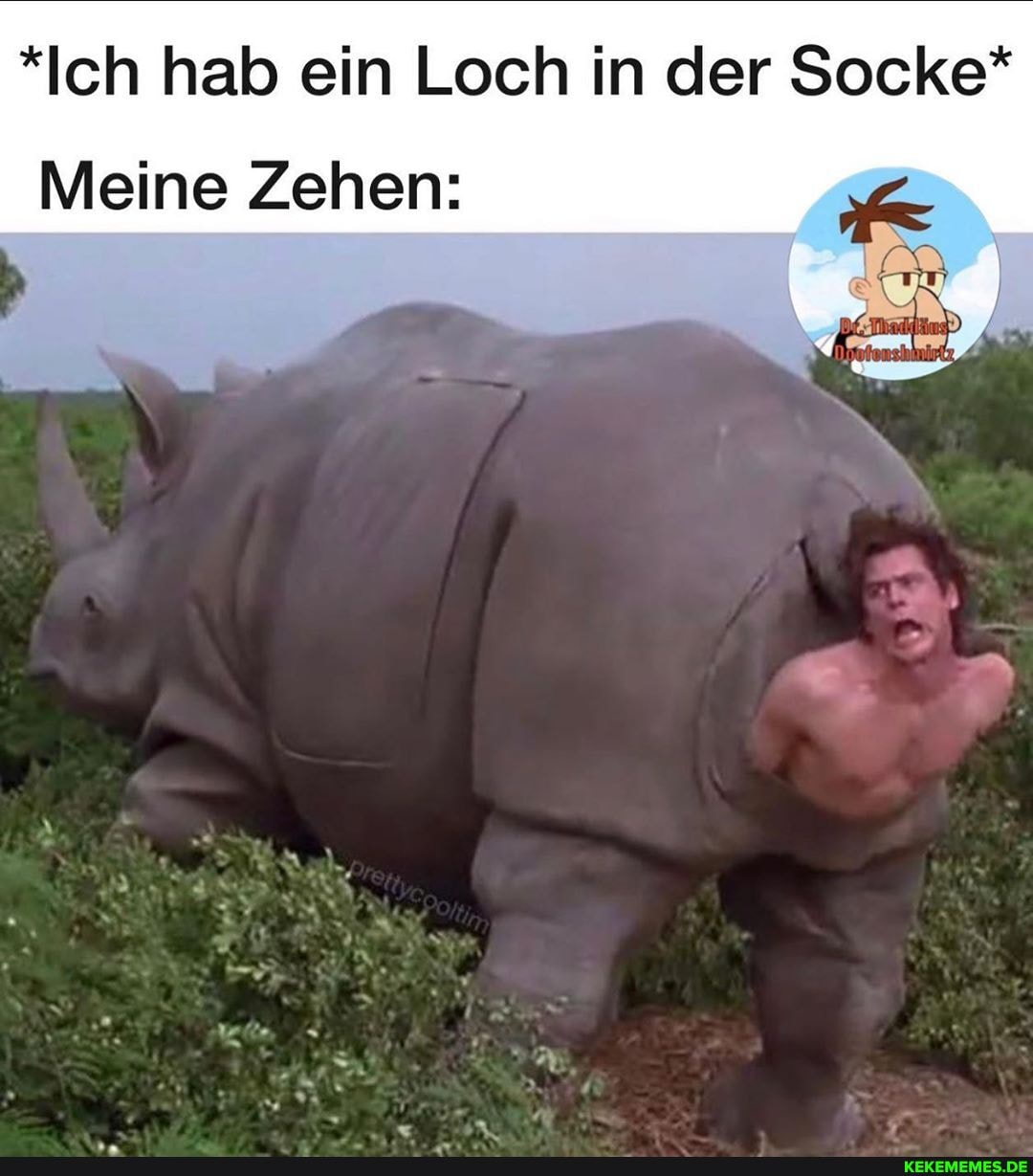 *Ich hab ein Loch in der Socke*
Meine Zehen:
