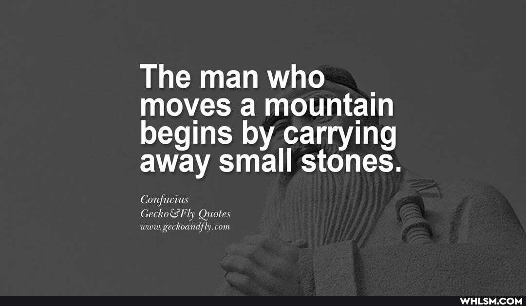 The man who
moves a mountain begins by carrying away small stones.
Confucius www.
Gecko Fly Quotes gechoandfly. com