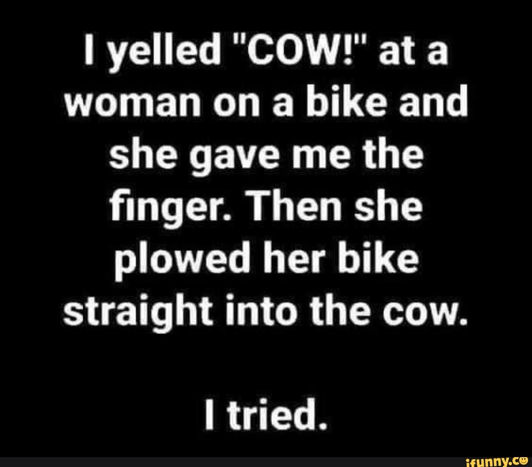 yelled COW! al woman on a bike and she gave me the finger. Then she plowed her bike straight into the cow.
tried.