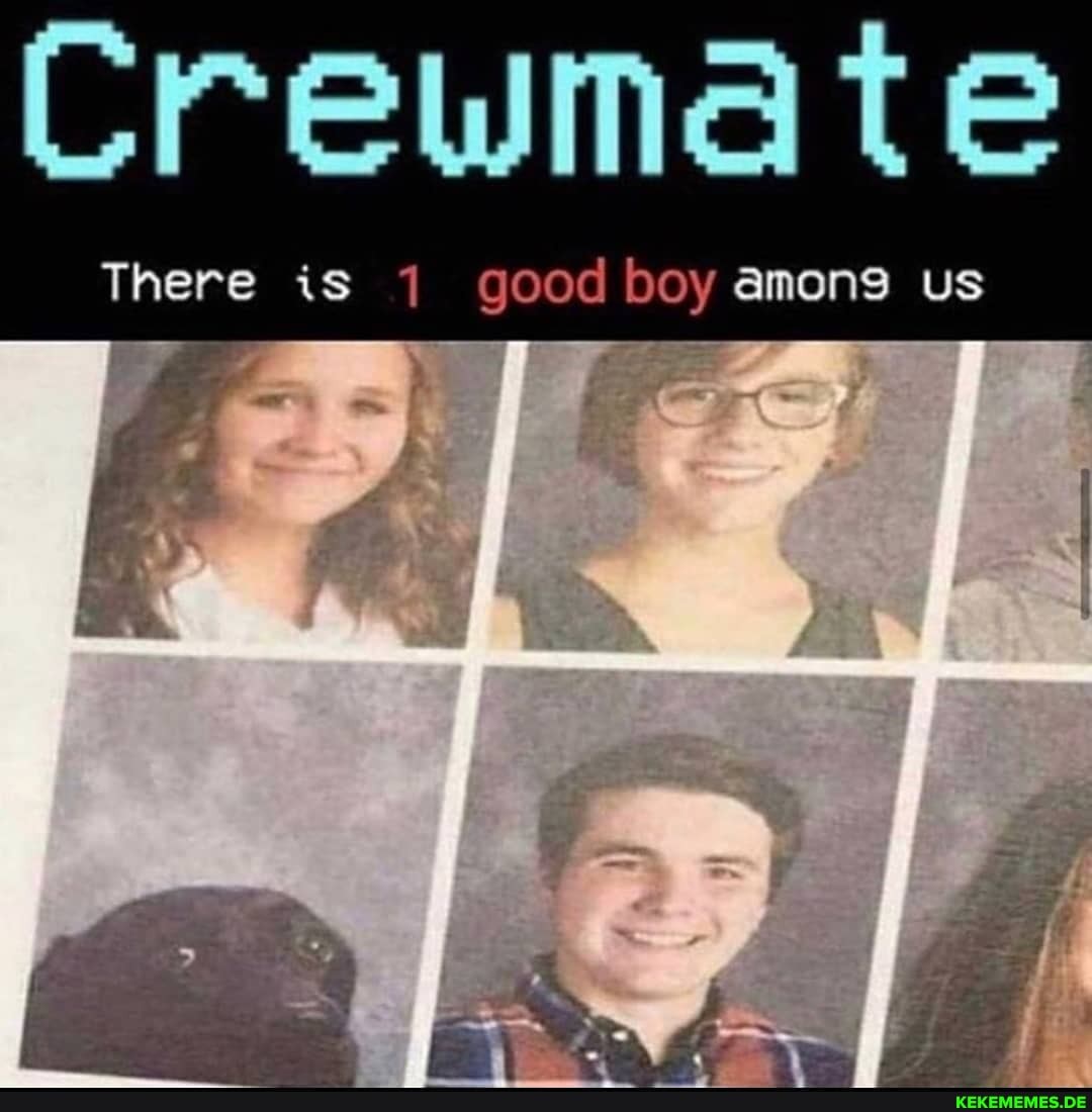 Crewmate
There is 1 good boy among us