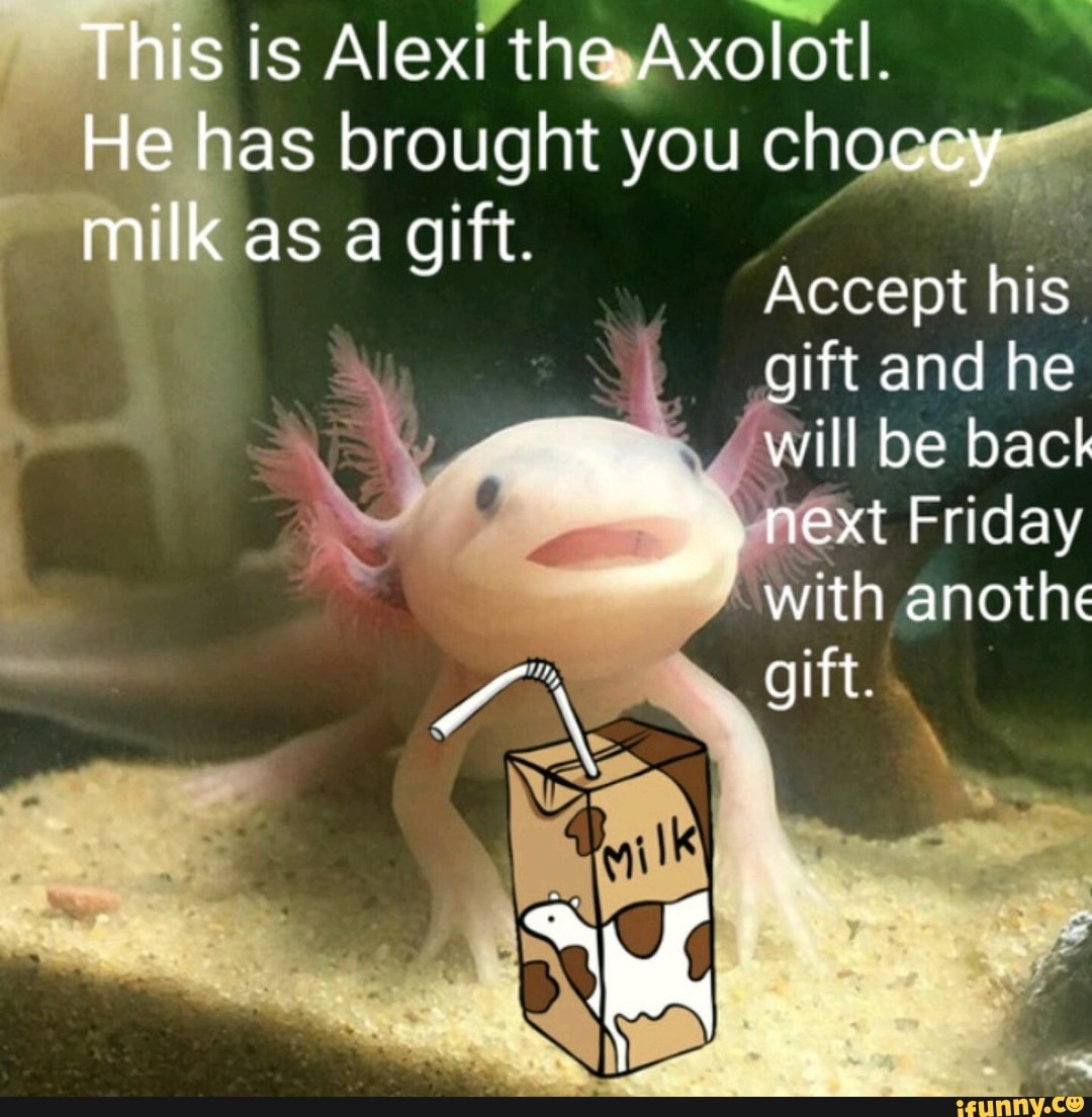 This Is Alex The Axolotl He Has Brought You Choccy Milk As A Gift Accept His