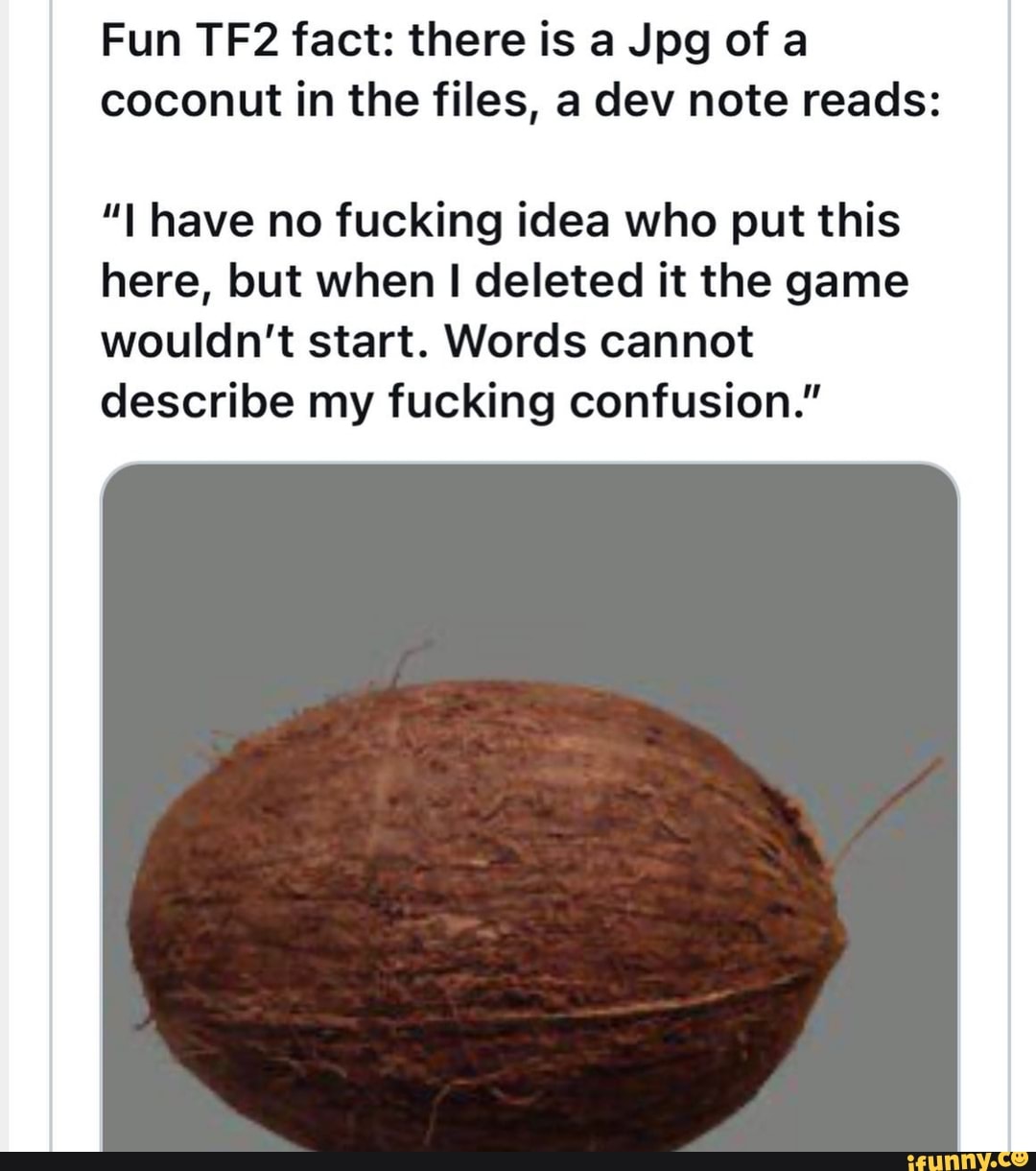 Fun fact there is a Jpg of a coconut in the files, a dev note reads