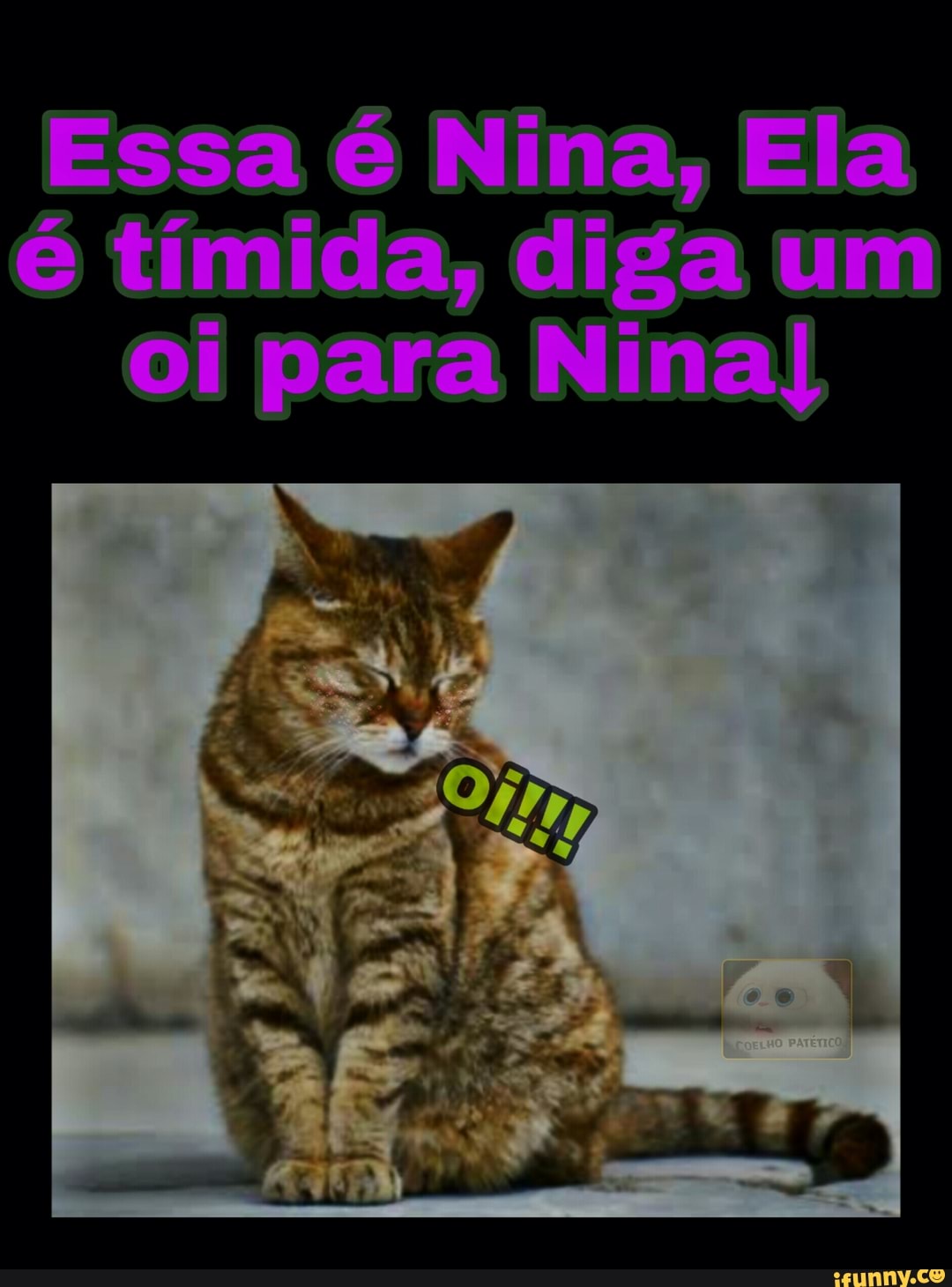 Essa é Nina, Ela é tímida, diga um oi para Nina)