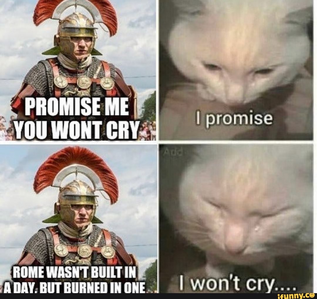Promise Me You Wont Cry I Promise Rone Wasn T Built In Anay Bht Pheneringne I Won T Cry Ifunny