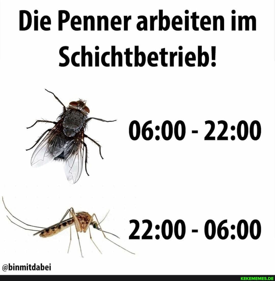 Die Penner arbeiten im
Schichtbetrieb!
@binmitdabei