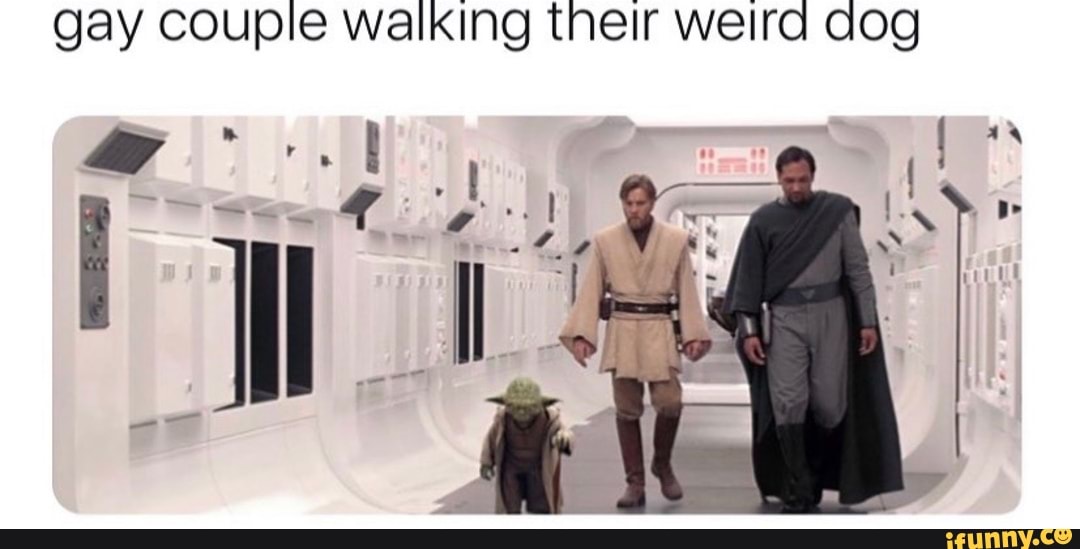 gay couple walking their weird dog
