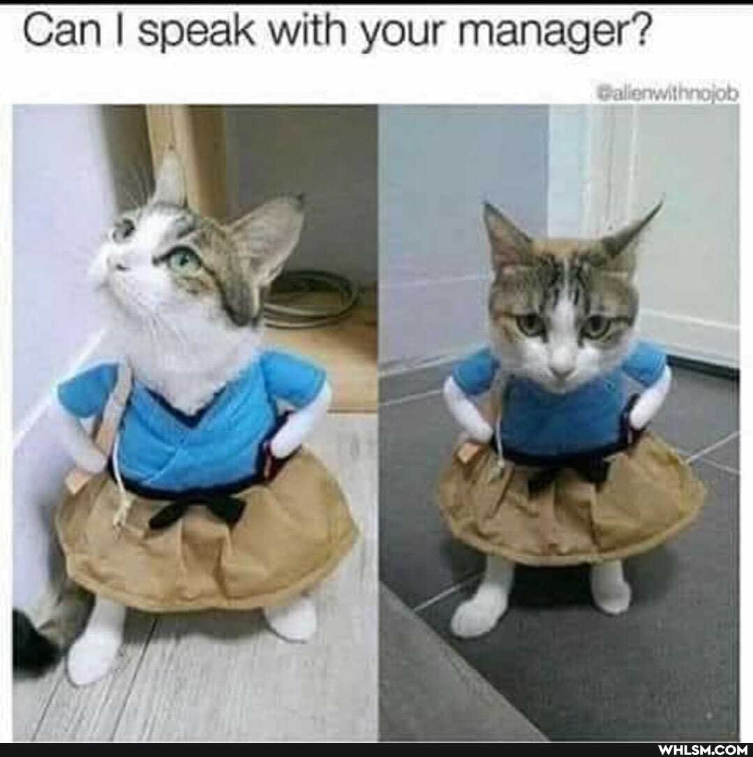 Can I speak with your manager?