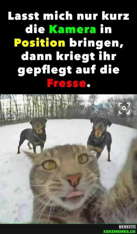 Lasst mich nur kurz die Kamera in
Position bringen, dann kriegt ihr gepflegt auf die