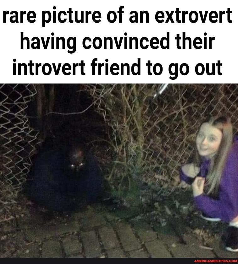rare picture of an extrovert
having convinced their introvert friend to go out