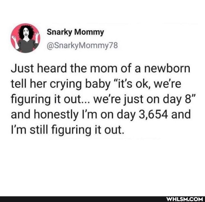 Snarky Mommy
Just heard the mom of a newborn tell her crying baby "it's ok, we're figuring it out... we're just on day 8" and honestly I'm on day 3,654 and
I'm still figuring it out.